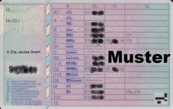 EU-Führerschein, Rückseite