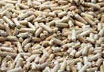 Pellets – Immer up to date